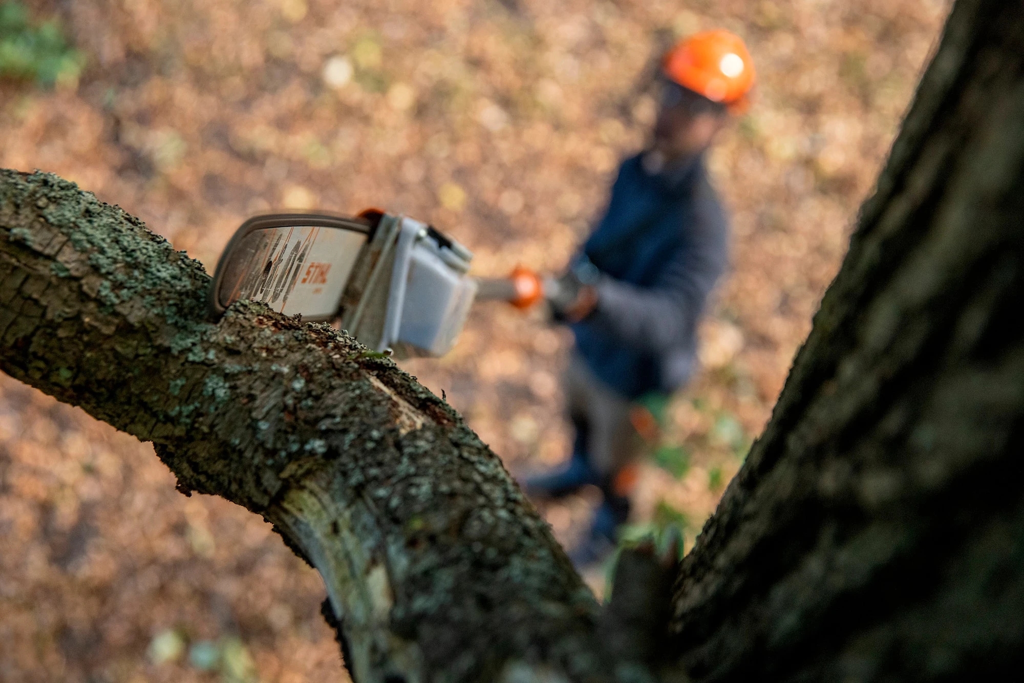 Stihl HTA 135 Stamkvistare 9 Stihl HTA 135 Stamkvistare - Afbeelding 7