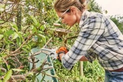 Stihl GTA 26 Grenkap Inkl Batteri Och Laddare 19 Stihl GTA 26 Grenkap Inkl Batteri Och Laddare -Leek winkel 1fc40eea 3d63 4ed8 8bfb 6b771f547224