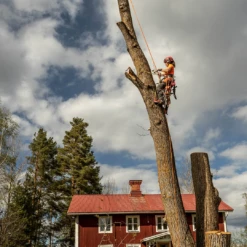 Husqvarna Technical Extreme Arborist Midjebyxa 14 Husqvarna Technical Extreme Arborist Midjebyxa -Leek winkel 3df77b81 d246 4de2 ae2d 79d79ccab795