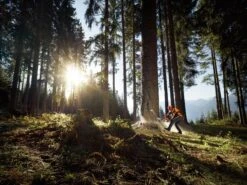 Stihl MS 661 C-M Motorsåg -Leek winkel 4348e828 921d 4864 b0d4 a030904ba057