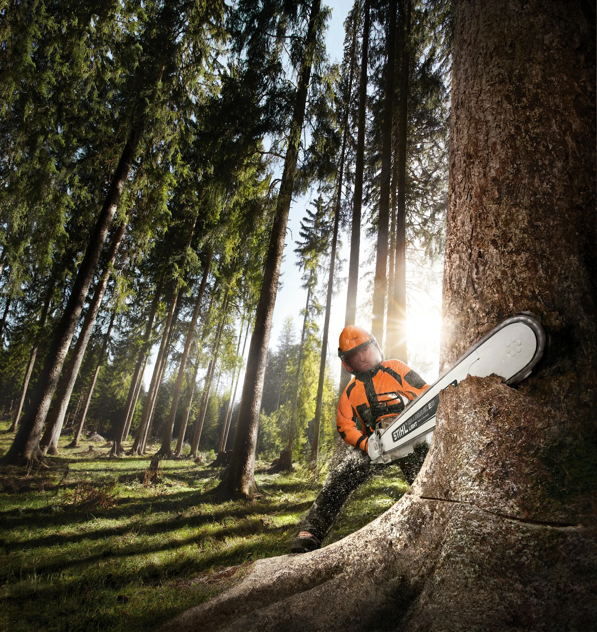 Stihl MS 661 C-M W Motorsåg 9 Stihl MS 661 C-M W Motorsåg - Afbeelding 7