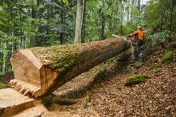 Stihl MS 881 Motorsåg 15 Stihl MS 881 Motorsåg -Leek winkel 79e71732 664f 48e7 bcda 463a9b90a3fd