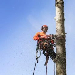 Husqvarna 545 Mark II Motorsåg -Leek winkel 7fe370c0 ba28 4843 900f 0e119e6fb068