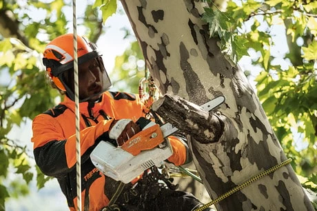 Stihl Advance X-Climb Hjälmpaket 4 Stihl Advance X-Climb Hjälmpaket - Afbeelding 2