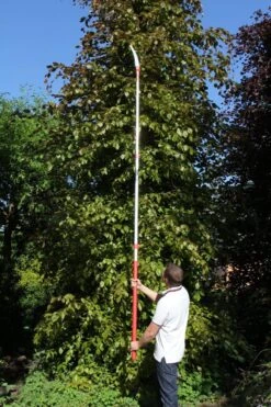 ARS EXP-3.3M Teleskophandtag 10 ARS EXP-3.3M Teleskophandtag -Leek winkel 8a47ce7a 3c65 49a0 abba 8a3a8bc59d03