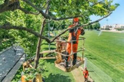 Husqvarna T435 Motorsåg -Leek winkel b44f5cf2 6cd2 4982 b0c2 24e212c07ac5