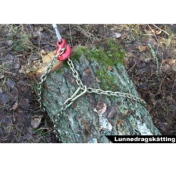 Sonnys Lunnedragskätting -Leek winkel ba6d61bc bbf5 453f b8c6 284bad5b7515