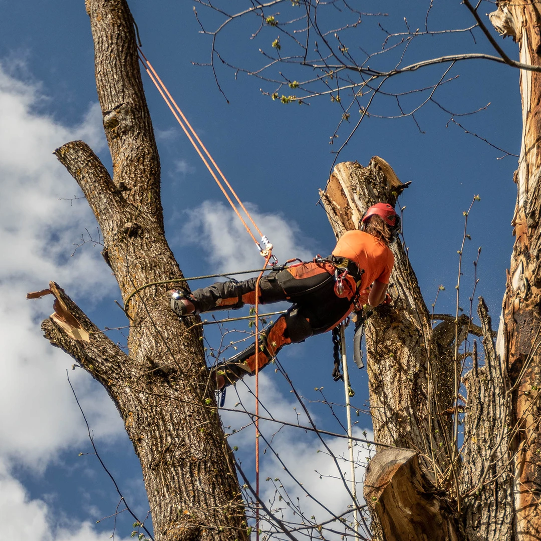 Husqvarna Technical Extreme Arborist Midjebyxa 7 Husqvarna Technical Extreme Arborist Midjebyxa - Afbeelding 6