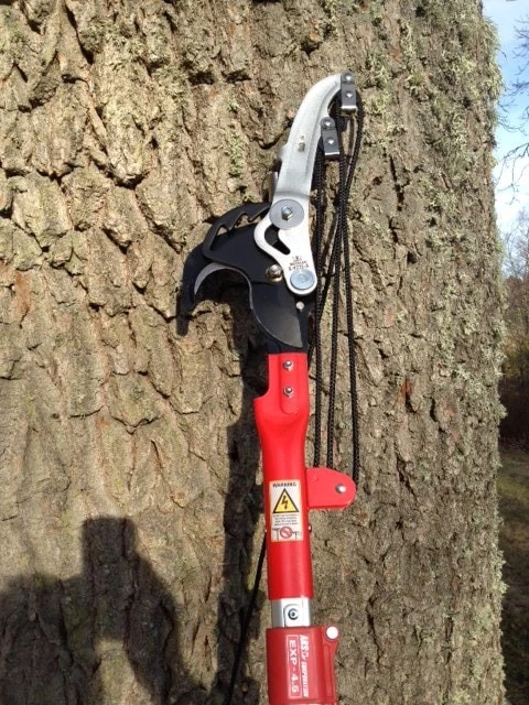 ARS Toppsax Pro Till EXP Stångsåg 5 ARS Toppsax Pro Till EXP Stångsåg - Afbeelding 3