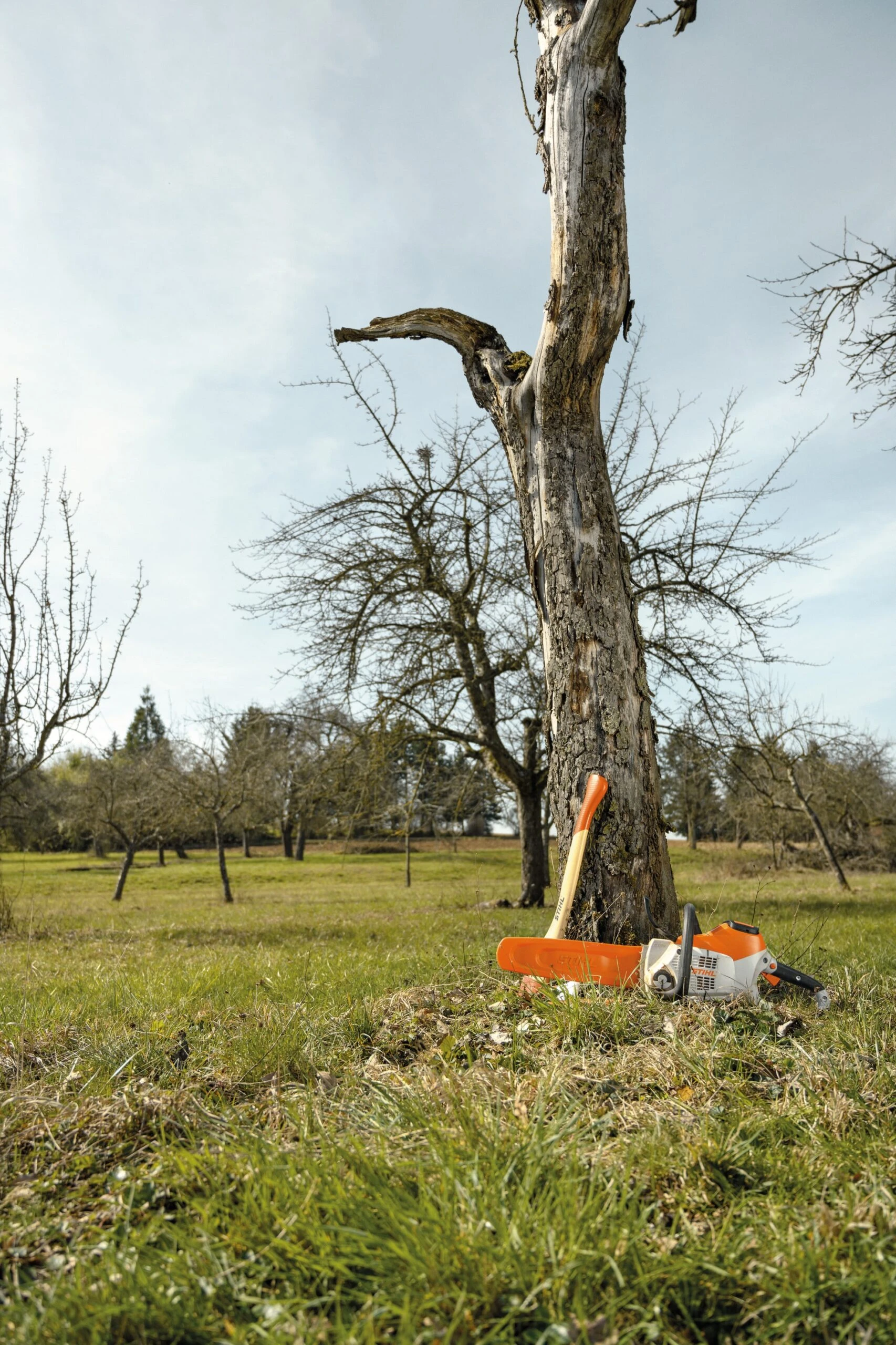 Stihl MSA 220 C-B Batterimotorsåg Exkl. Batteri Och Laddare 6 Stihl MSA 220 C-B Batterimotorsåg Exkl. Batteri Och Laddare - Afbeelding 4