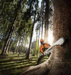 Stihl MS 661 C-M Motorsåg -Leek winkel f87c4497 1c9e 4ab8 826c c663e6303b1f