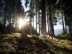 Stihl MS 661 C-M W Motorsåg 17 Stihl MS 661 C-M W Motorsåg -Leek winkel f9e83b48 0511 4006 a4b7 5a13176b8ca8