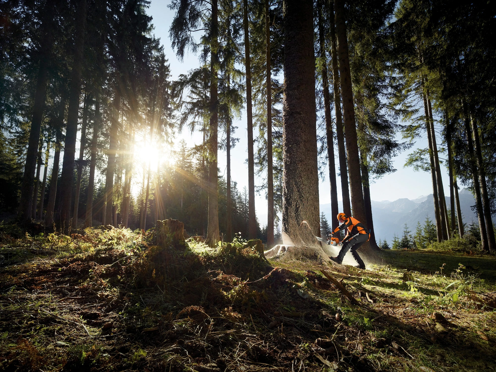 Stihl MS 661 C-M W Motorsåg 10 Stihl MS 661 C-M W Motorsåg - Afbeelding 8